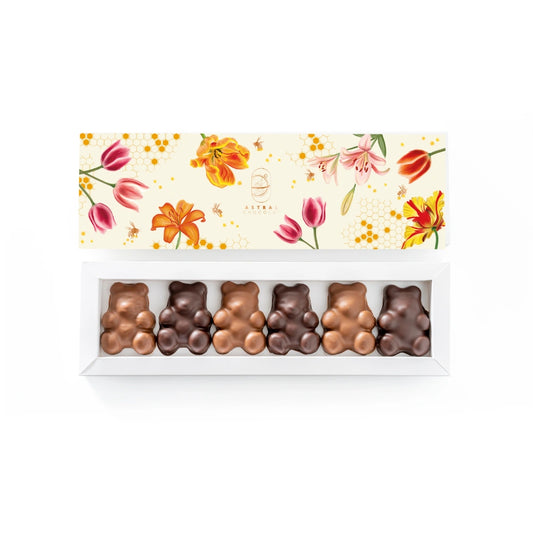 Oursons guimauve chocolat noir et chocolat au lait, guimauve vanille de Madagascar, coffret artisanal, astral chocolat